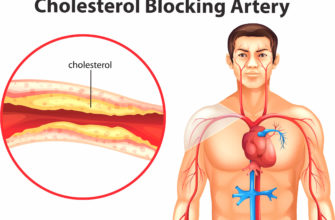 Cholesterol - funkcje, źródła, frakcje, stężenie
